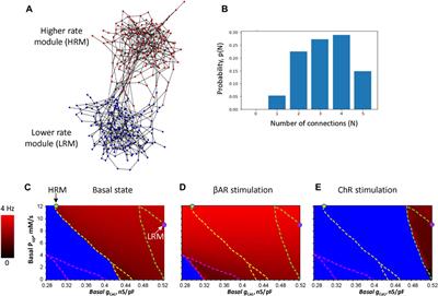 A novel conceptual model of heart rate autonomic modulation based on a small-world modular structure of the sinoatrial node